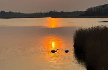 Baltic view - Foto 19