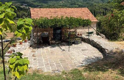 Apartments with parking space Gruda, Dubrovnik - 24966 - Photo 1