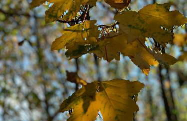 Villa Silvia - Photo 54