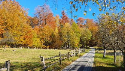 Apartamenty Marii Kawik - Foto 2