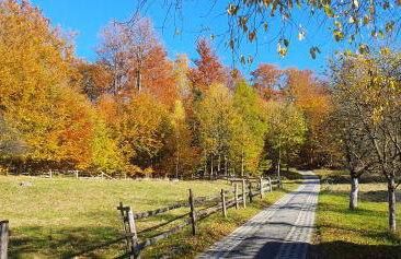 Apartamenty Marii Kawik - Foto 2