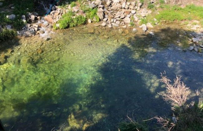 Hurb Green - Foto 59