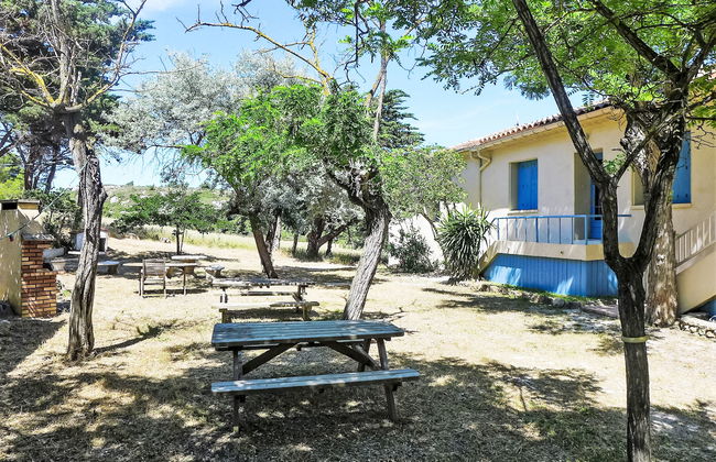 Les Vendanges - Foto 5