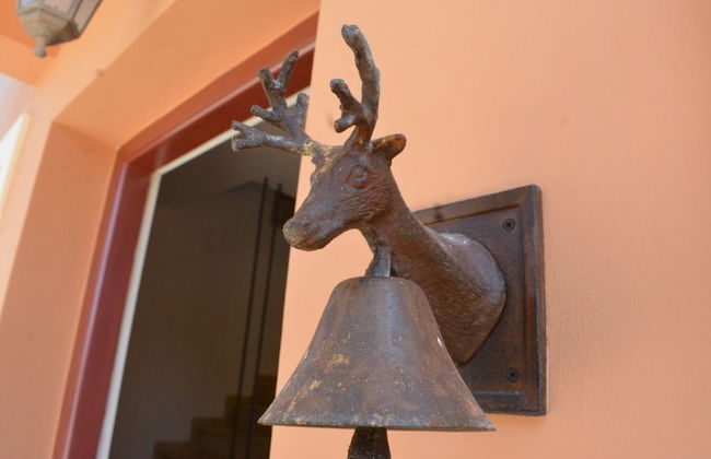 Alekos Beach Houses - Natura Verde - Foto 21