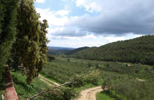 Masia Heredad La Boquilla - Foto 81