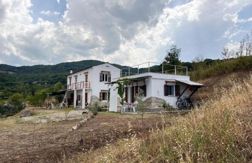 Minicasa nella fattoria - Foto 14