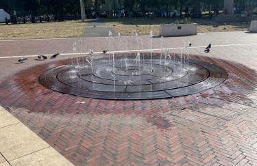 Qties Beautiful Abode Brixton - Foto 29