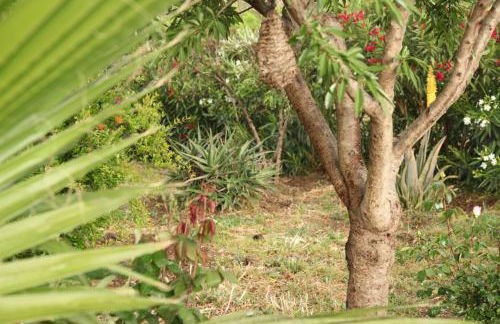 The Dragonfly Retreat - Photo 65