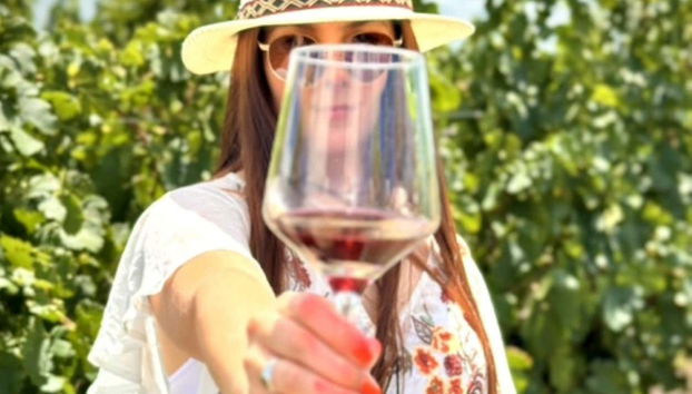 Visite du domaine viticole Fripp - Foto 3