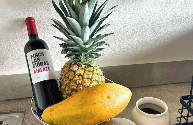 Serene Hills Arenal - Photo 20