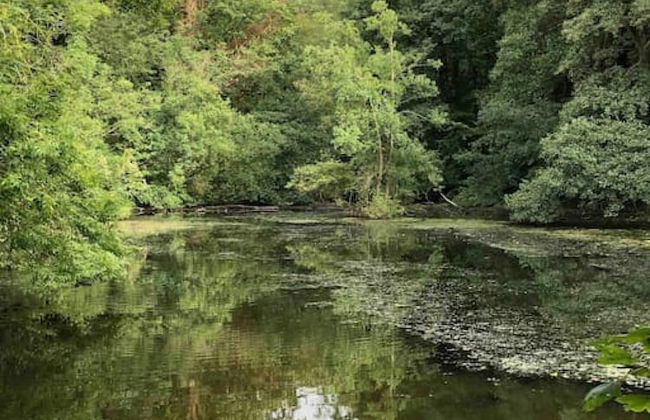 Charming 3 BR House - Garden Parking Near CS Lewis Park - Foto 4