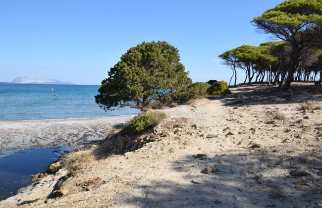 Appartamento Fabiana Budoni Sardegna - Photo 16