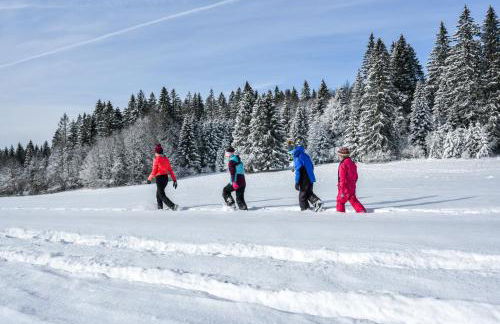 Notre Chalet - Boutique Appartements 4 étoiles & Sauna - Foto 39