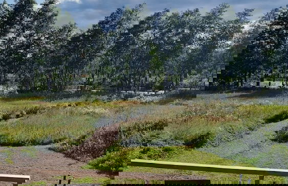 Villa Kaunisvirta - Photo 24