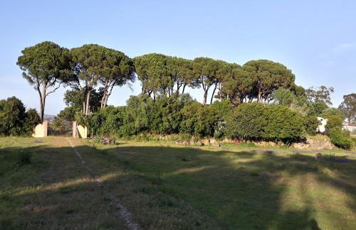 Quinta Da Torre - Óbidos Country House - Foto 31
