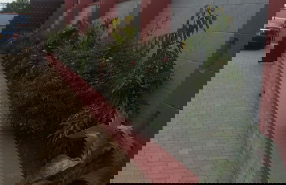 Tripplex Hotel - Foto 61