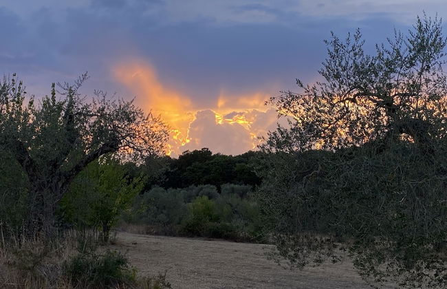 Agriturismo Podere Conte Ràcani - Foto 31