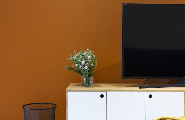 Polanco Luxury Condo - Foto 15