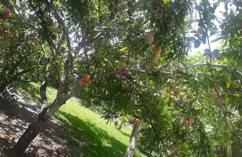 Refúgio das bouganvillea - Foto 24