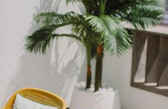 La Pardela Exclusive Apartamentos - Foto 27