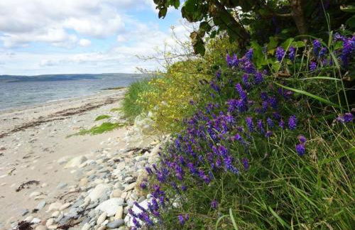 2 Bed in Lochgilphead AG577 - Foto 23