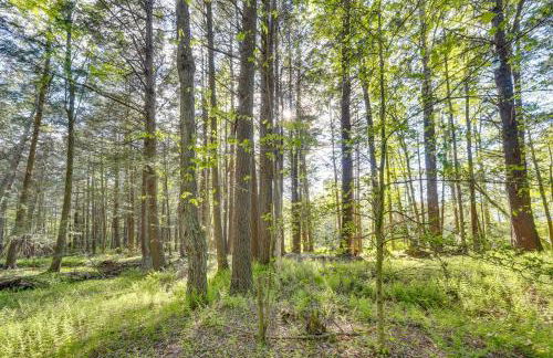 Explore the Poconos! Cozy Creekside Cabin with Patio - Foto 36