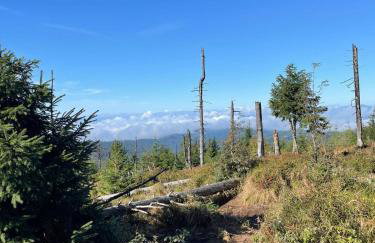 Szlak By Trafił - Photo 79