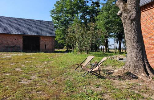 Dom w Młodzianowie - Foto 41