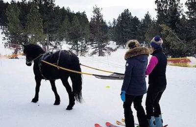 Gite La Grangette de Pauline - Foto 71