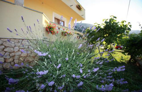 Apartments Sersic - Photo 28