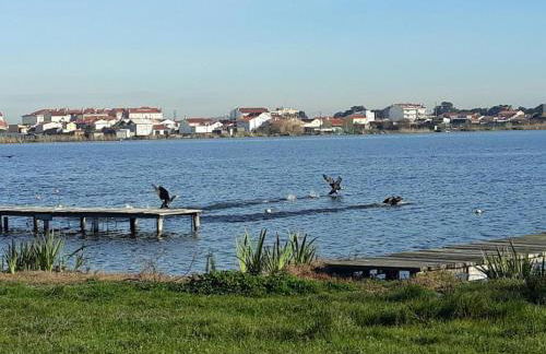 Bela Vista Barrinha - Foto 20