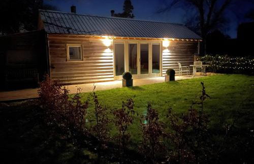 Stunning Cabin with incredible views near Goodwood - Foto 19