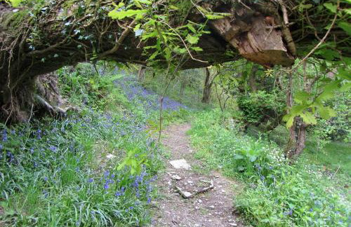 Y Cartws Cardigan - Foto 8