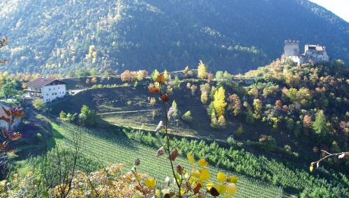 Schlosshof zu Montani - Foto 5