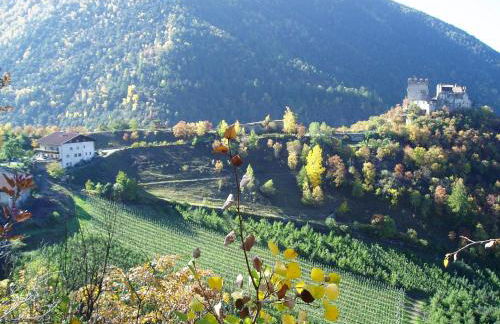 Schlosshof zu Montani - Foto 5