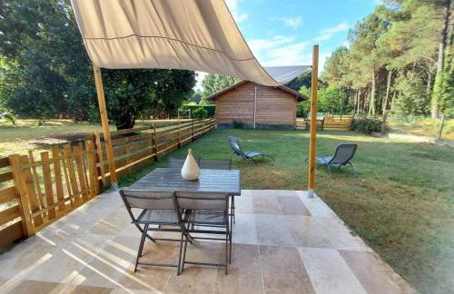 Les Gîtes du Grand Chêne - Foto 17