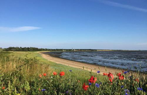 Kleiner Wattprinz - Photo 18