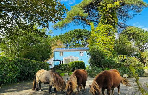 Bay View Cottage - Foto 1