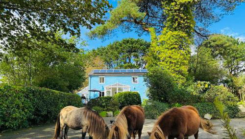 Bay View Cottage - Foto 1