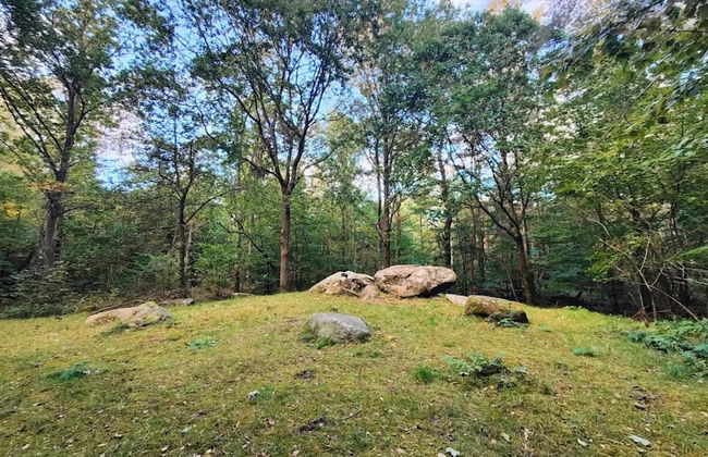 6 Person Holiday Home in Hornbaek - Photo 11