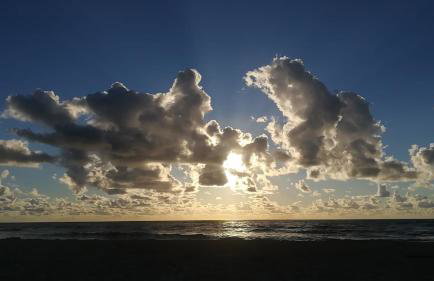 Zacisze Sosnowe - Foto 36