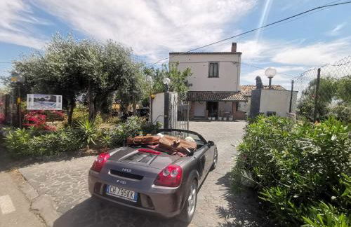 La Fattoria Dei Nonni - Foto 27