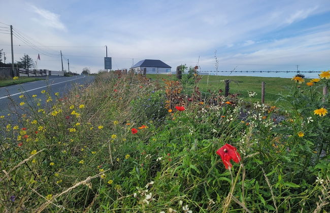Immaculate 2-bed Cottage in Tuam - Foto 25