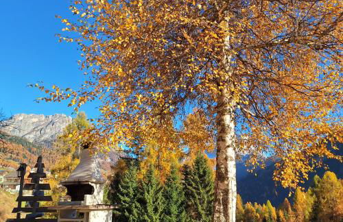 Cesa de Conesel - Foto 7