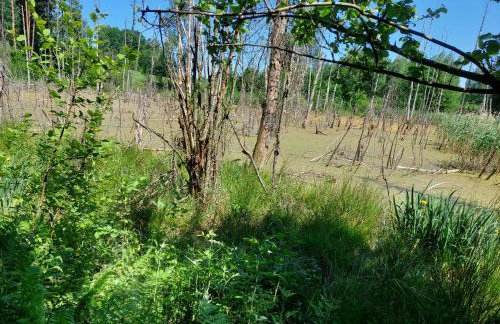 "Cztery Klony" - Foto 29