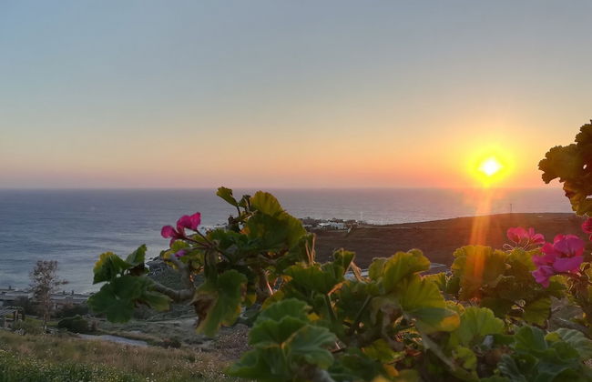 The Traditional Stone Villa - Foto 49