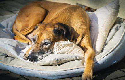 Ferienhaus am Osterberg - Foto 16