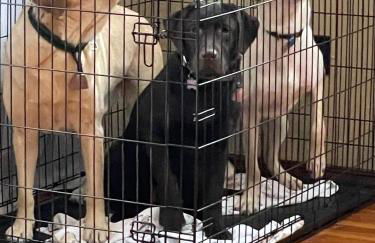 Ski Lodge Mins to White Face Mtn and Lake Placid - Foto 45