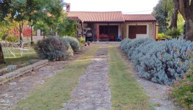 apartmani Nina Šišan - Foto 5, Garden view