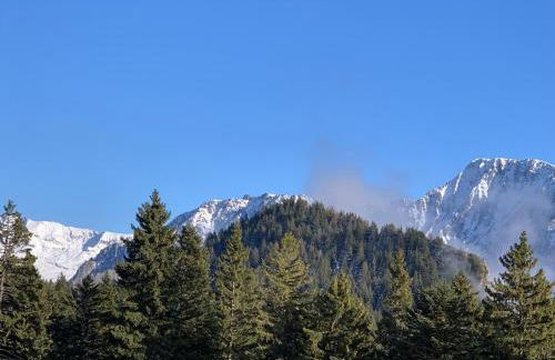 Appartement Chamrousse - Foto 17